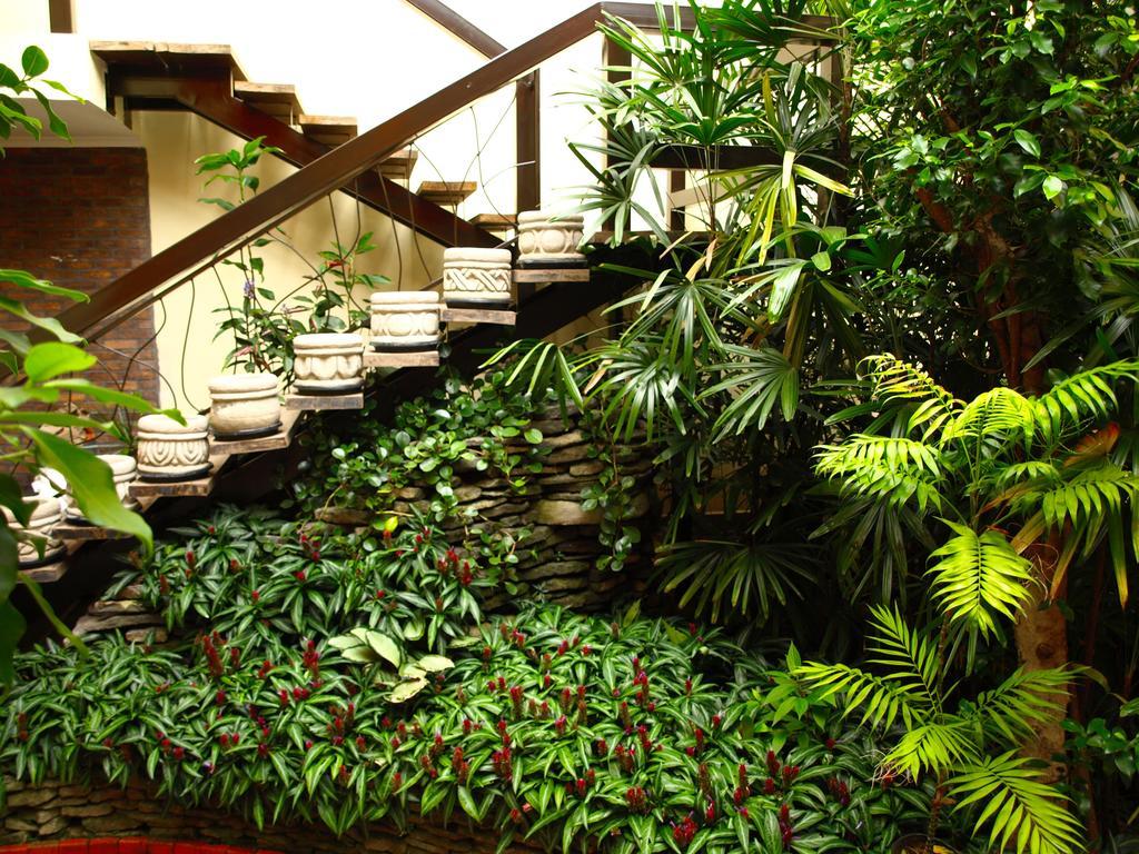 Hotel The Palm House Inn سان هوزيه المظهر الخارجي الصورة