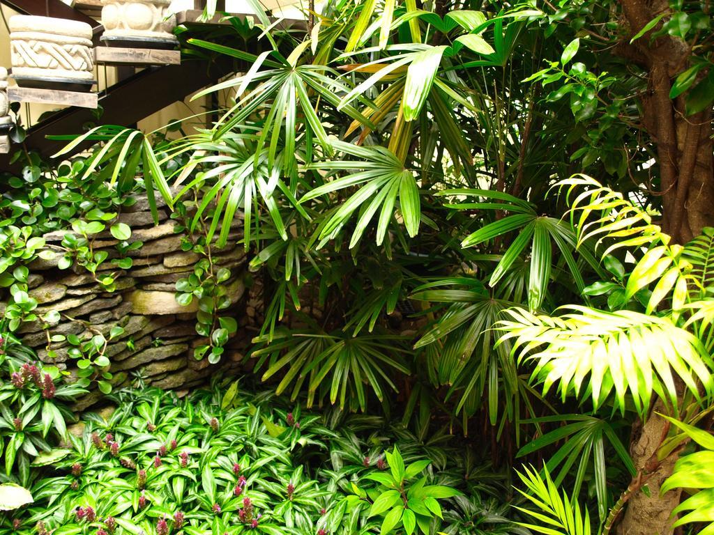 Hotel The Palm House Inn سان هوزيه المظهر الخارجي الصورة